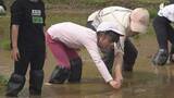 「「転びそうになったけど楽しかった」小学生が田植えに挑戦 9月に収穫し「おにぎり」に＝静岡・下田市」の画像1