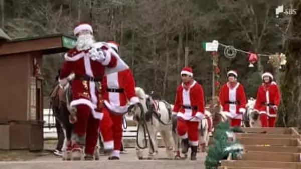 観光施設でクリスマスイベント 動物たちがパレードでムード盛り上げる =静岡
