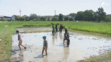 登呂遺跡の田んぼで泥遊び自然と触れ合う「ドロん子パーク」＝静岡市駿河区