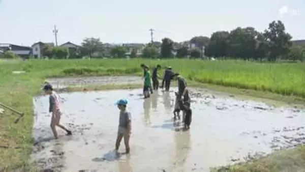 登呂遺跡の田んぼで泥遊び 自然と触れ合う「ドロん子パーク」＝静岡市駿河区