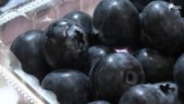 「大玉でパリッとした食感」ブルーベリーの一大産地で目ぞろえ会 年間約70トンの出荷見込む＝浜松市浜名区