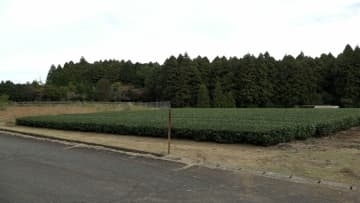 クマ目撃か 裾野市須山で観光客が通報 地元区長「イノシシやシカの見間違いでは」=静岡