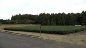 クマ目撃か 裾野市須山で観光客が通報 地元区長「イノシシやシカの見間違いでは」=静岡