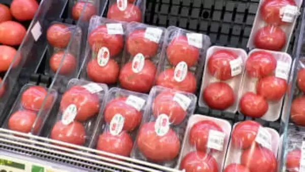 "トマトショック"平年の1.5倍 飲食店「100円切ってほしい」 スーパーでは価格落ち着くも高値続く