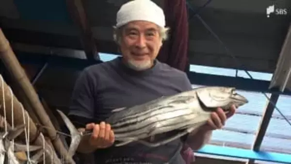 “正月魚”とも呼ばれる新年の縁起物「潮かつお」生産最盛期 西伊豆町の伝統保存食＝静岡