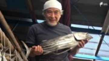 “正月魚”とも呼ばれる新年の縁起物「潮かつお」生産最盛期 西伊豆町の伝統保存食＝静岡
