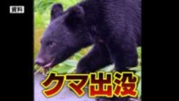 掛川でクマ出没か 体調約1メートル トラック運転手が目撃 警察が注意呼びかけ＝静岡・掛川市
