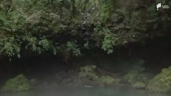 「非常に心配しています」滝の水がほとんど流れず...源頼朝ゆかりの観光名所「陣馬の滝」で異変 湧水の減少で養殖ニジマスにも影響＝静岡・富士宮市
