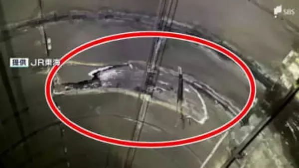 JR東海道線 2日連続のパンタグラフ破損は垂れ下がった漏水防止板を留める金具への接触が原因 JR東海が発表