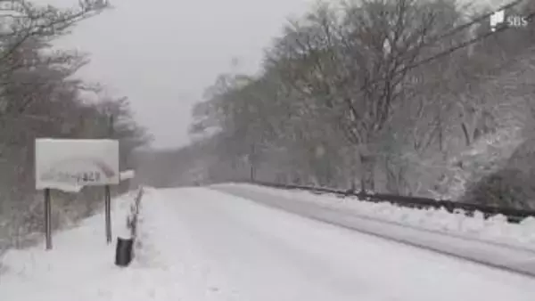 静岡県内の山沿いで雪 南富士エバーグリーンラインは銀世界...東富士五湖道路の一部で通行止め＝裾野市・三島市