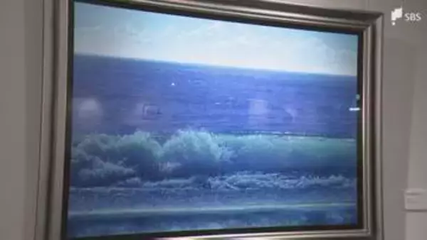 “完売画家”とも呼ばれる中島健太さんの作品を集めた「中島健太展ー眼差しと時間ー」開催中＝静岡・駿府博物館