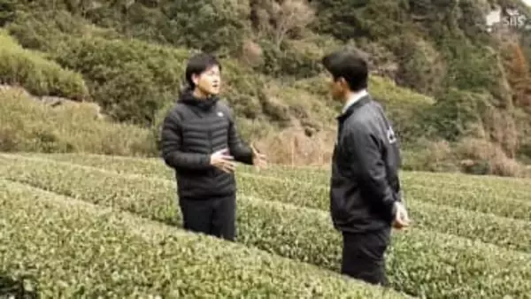 「持続可能な農業生産を」鈴木憲和農水相が静岡県の茶業を視察 関係者は国の支援に期待=静岡