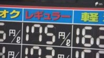「また上がっちゃうと嫌だから入れておこうかな」ガソリン小売価格が県内6週間ぶりの下落 政府の補助金が奏功も先行きは不透明=静岡