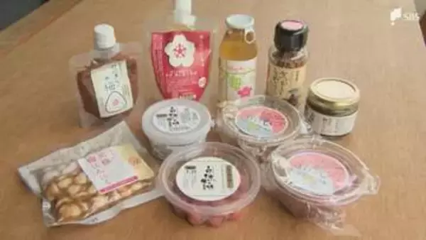 疲労軽減には季節の柑橘類を上手に食事に取り入れて 体内でエネルギーを作る働きサポート 9月3日はクエン酸の日