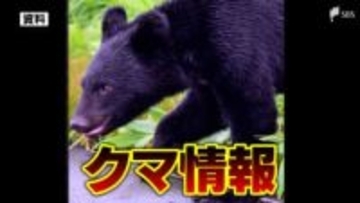 黒っぽい動物がクロスカントリーコースに... ツキノワグマを捕獲したばかりの裾野市でクマと思われる動物の目撃情報＝静岡・裾野市