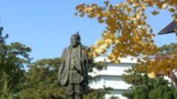 イチョウの色づきとランニング、共通点は「8℃」？ “走るのに最高な天気”とは  =静岡市【くるちゃんさんぽ】