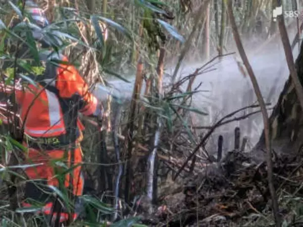 静岡県伊東市の雑木林で林野火災、消防が今も消火活動を継続中
