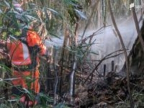 静岡県伊東市の雑木林で林野火災、消防が今も消火活動を継続中