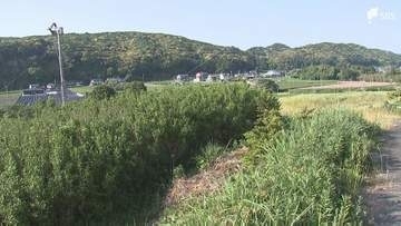 山林に放火して立木などを焼いた疑い 59歳男逮捕 市内では原因不明の林野火災が相次ぎ警察が関連を捜査=静岡・袋井市