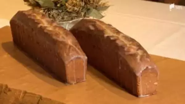 「食べるごとに地球を癒す」耕作放棄地で育ったキクイモで低糖質のパウンドケーキを開発=静岡【SDGs】