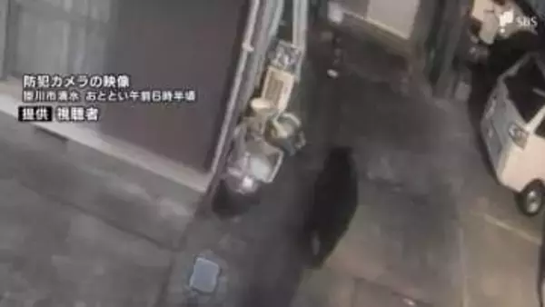 「他人事だと思っていた。本当に怖い」掛川でクマの姿を防犯カメラが捉える 菊川でも連日の痕跡 3日連続の"クマ情報"に警戒 ＝静岡