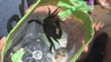 「海で遊んで海を好きになってもらおうと」園児たちが磯遊び 豊かな海で命の大切さを学ぶ 地元のネイチャーガイドが講師に＝静岡・南伊豆町