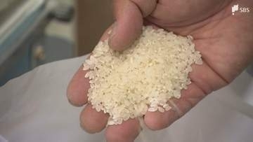 「米騒動がおさまってその余波が出ている」コメの安売り競争始まる？ 5キロ2000円台のコメ登場で価格下落へ 在庫に悩む卸業者と生産者に配慮して仕入れ価格を維持するおにぎり店