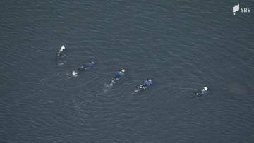 浜名湖で男子高校生が殺害された事件 被告の男の懲役17年が確定 期限までに上告せず