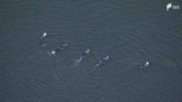 浜名湖で男子高校生が殺害された事件 被告の男の懲役17年が確定 期限までに上告せず