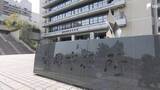 「県外のはしか患者が5月6日に新東名・清水PA利用 不特定多数と接触の可能性 市が注意呼びかけ＝静岡市」の画像1