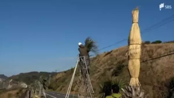 冬の到来に備えヤシのコモ掛け作業＝静岡・南伊豆町