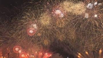 「按針祭」の花火大会で花火が観覧エリア方向に落下 親子3人がやけど...7歳男児と母親を救急搬送＝静岡・伊東市