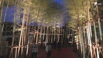 「土肥金山」”金”をテーマにリニューアルした庭園がオープン 五輪3連覇の柔道家・野村忠宏さんらが鏡開き ライトアップイベント開催＝静岡・伊豆市
