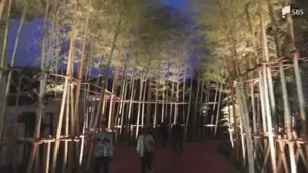 「土肥金山」”金”をテーマにリニューアルした庭園がオープン 五輪3連覇の柔道家・野村忠宏さんらが鏡開き ライトアップイベント開催＝静岡・伊豆市
