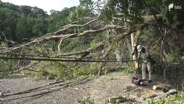 土砂崩れ発生 倒木や土砂が道路をふさぐ 少なくとも6世帯7人が孤立状態 約50戸が停電＝静岡・下田市【詳報】
