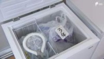 小学校72校に「冷凍庫」設置へ 下校時の冷却グッズ再凍結を可能に 2026年5月から導入=静岡市