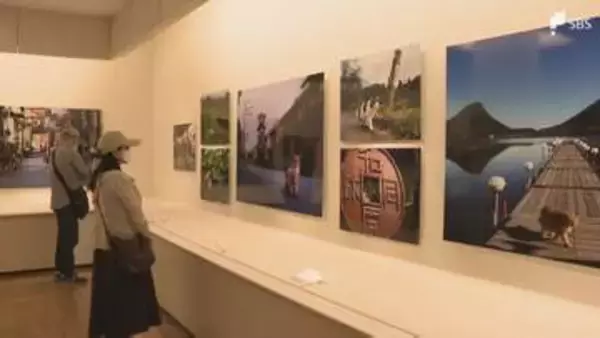 「ネコの姿を通して日本の美しい風景を届けたい」動物写真家・岩合光昭さんが捉えた140点を展示「ご当地ねこ」展始まる＝静岡・三島市