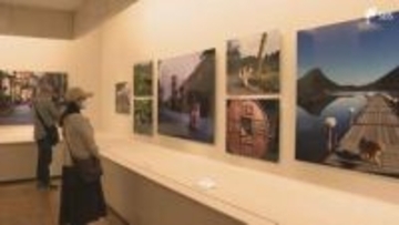 「ネコの姿を通して日本の美しい風景を届けたい」動物写真家・岩合光昭さんが捉えた140点を展示「ご当地ねこ」展始まる＝静岡・三島市