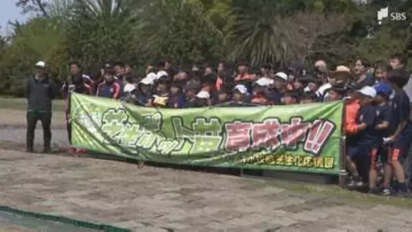 「感触がぶすぶすもちもちで楽しい」みんなで芝生の「ポット苗作り」校庭の芝生化で快適に運動できる環境を＝静岡市