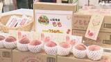 「会場の約4割が初出展! 中部4県の特産品が集まる「バイ・山の洲物産展」静岡伊勢丹で開幕＝静岡市」の画像1
