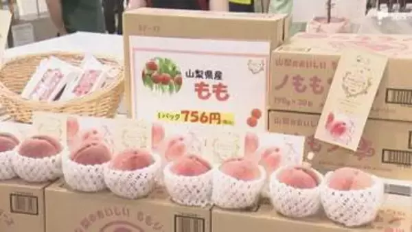 会場の約4割が初出展! 中部4県の特産品が集まる「バイ・山の洲物産展」静岡伊勢丹で開幕＝静岡市