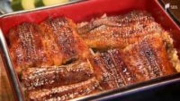 「入ってこないと死活問題」ウナギ規制案“否決”に安堵も… 県内の関係者は資源回復に向けた取り組みを進める =浜松市