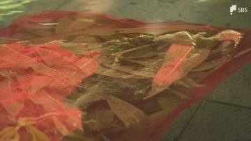 「何となく桃の香りのようなものがする」“土用の丑の日”にあわせ温泉施設で『桃の葉湯』＝静岡市