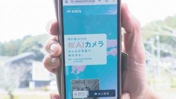 大雨災害で失われた「桜づつみ」復活へ 桜を守る活動にアプリで参加 住民と行政と企業が一体に=静岡・磐田市