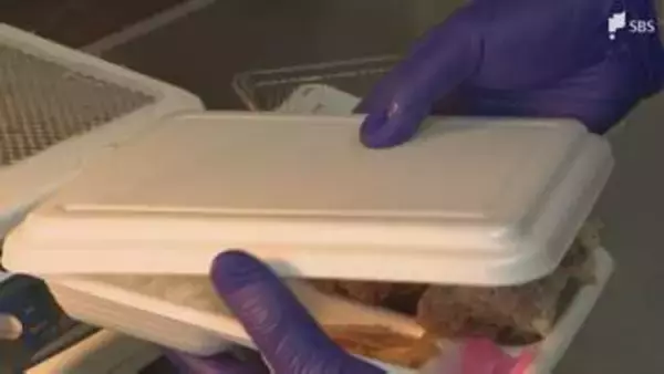 中東情勢の影響「ナフサ」供給不足が深刻化 唐揚げ弁当の容器や塗装用シンナーが値上がり 暮らしを支える資材の高騰相次ぐ=静岡