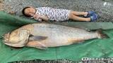 「海岸に現れた1.5メートルの"幻の魚" 暗闇のなか「オオニベ」と3時間の格闘...釣り人が振り返った奇跡のキャッチ＝静岡」の画像1