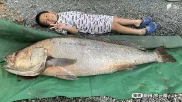 海岸に現れた1.5メートルの"幻の魚" 暗闇のなか「オオニベ」と3時間の格闘...釣り人が振り返った奇跡のキャッチ＝静岡