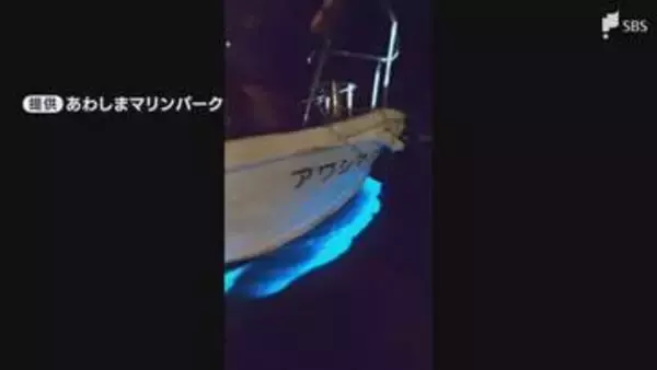 「年に数回見られればラッキー」夜の海で青い光が発生 その正体は「夜行虫」幻想的な光を放つ理由は?＝静岡・沼津市