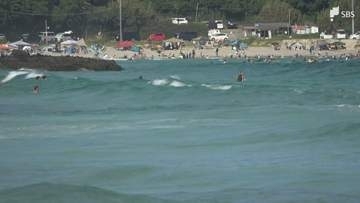 「25歳から30歳くらいの人が溺れている」下田市の入田浜海水浴場で身元不明の遺体が見つかる＝静岡県警・下田署