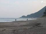 「【続報】「姿が見えない」海開き前の海水浴場で遊泳中に救助され重体だった男性がその後死亡＝静岡・河津町」の画像1